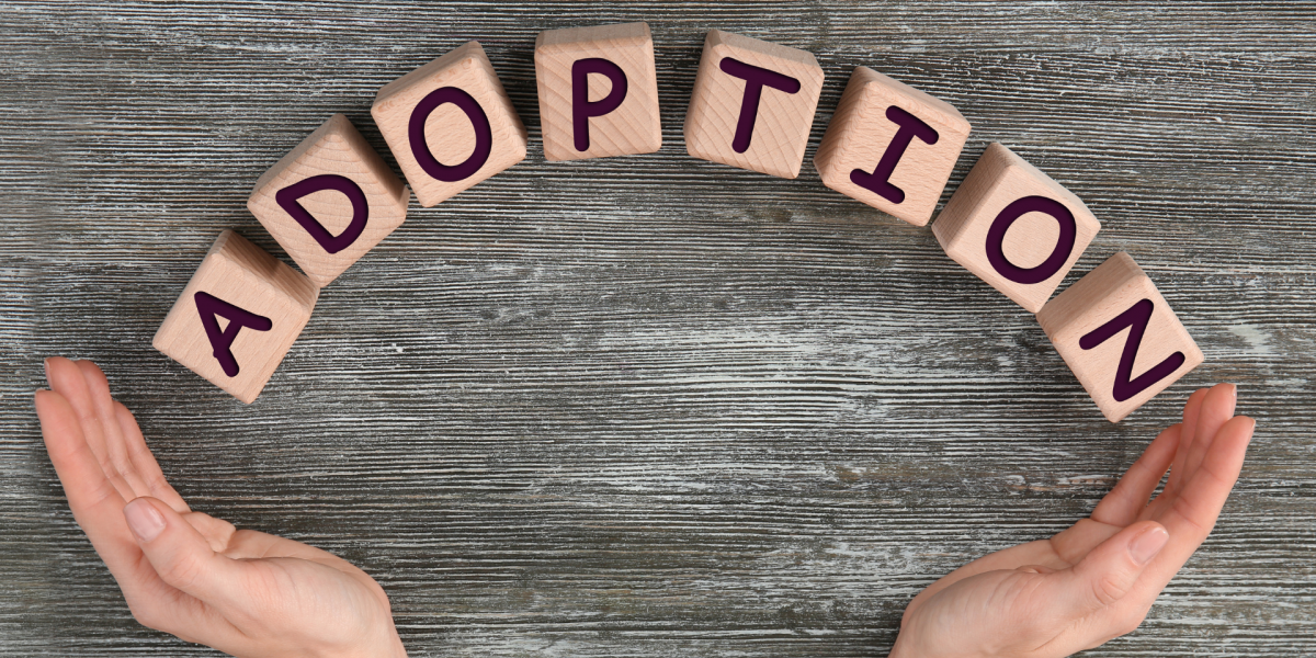 ADOPTION ET AGREMENT